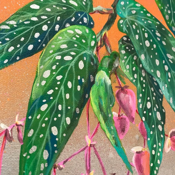 Begonia Painting - Picture 5 of 6
